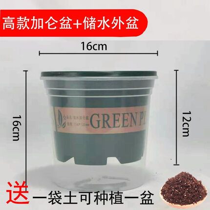 自动吸水懒人加仑盆，买花盆送花土，赠送花盆附带花土