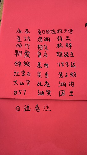 随机四棵直立天竺葵