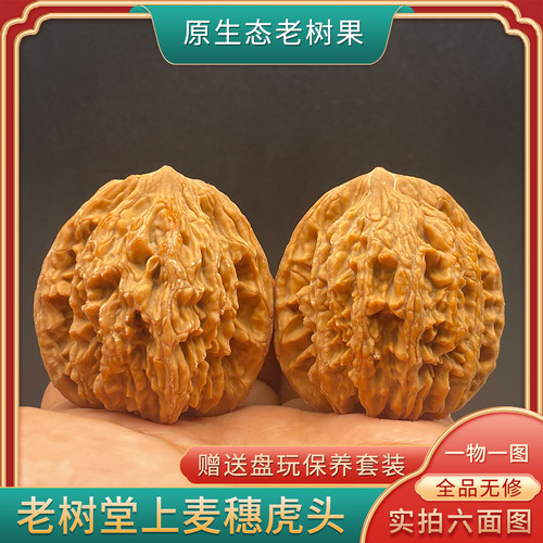 老树麦穗虎头堂上虎头白茬45尺寸