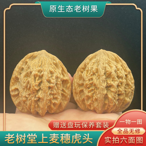 老树麦穗虎头堂上46尺