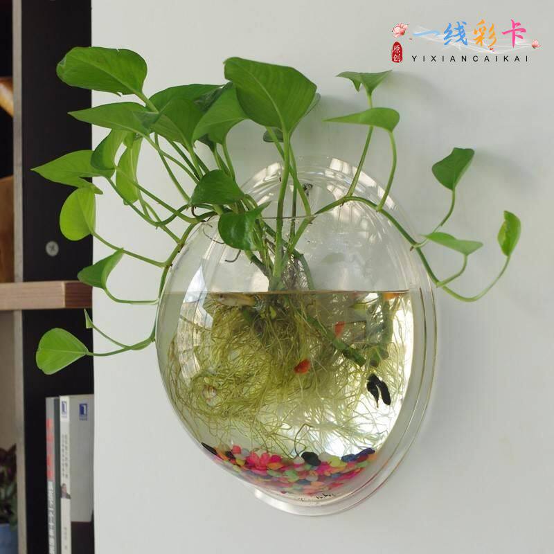 壁挂水培花瓶创意挂壁鱼缸客厅墙上悬挂花盆吊兰黄金葛垂吊吊篮特