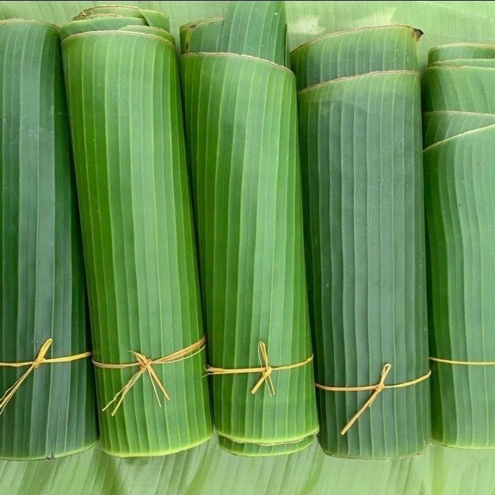 新鲜芭蕉叶包粽子的叶子粽叶