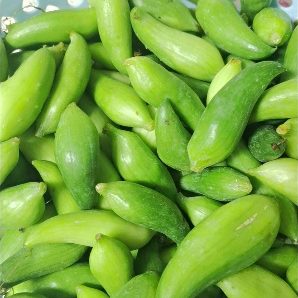 云南德宏特产新鲜蔬菜小雀瓜小角瓜美味素食装短季时令蔬菜