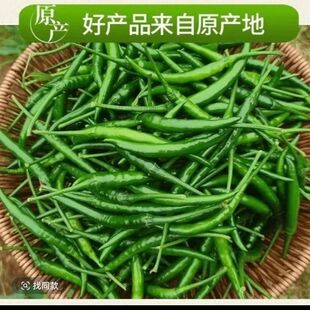 云南新鲜青红小米辣广西青米椒小尖剁椒青特辣小米椒辣椒现发