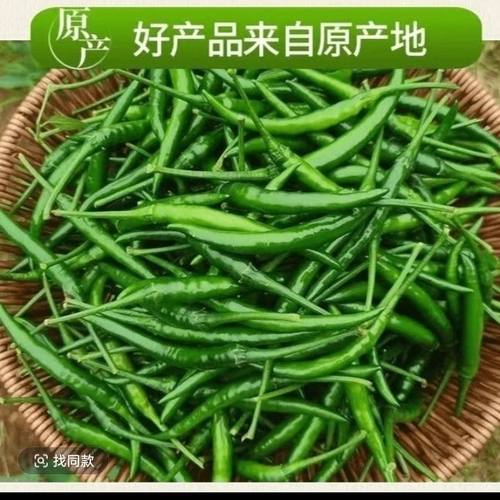 云南新鲜青红小米辣小尖剁椒