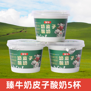 臻牛奶皮子酸奶120克装5杯