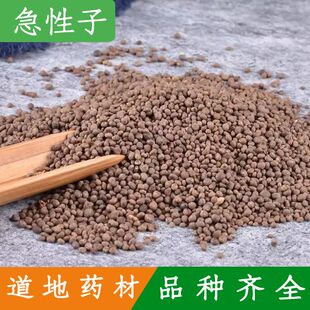 正品野生中药材急性子500克 凤仙花子 透骨草 凤仙花 指甲花包邮