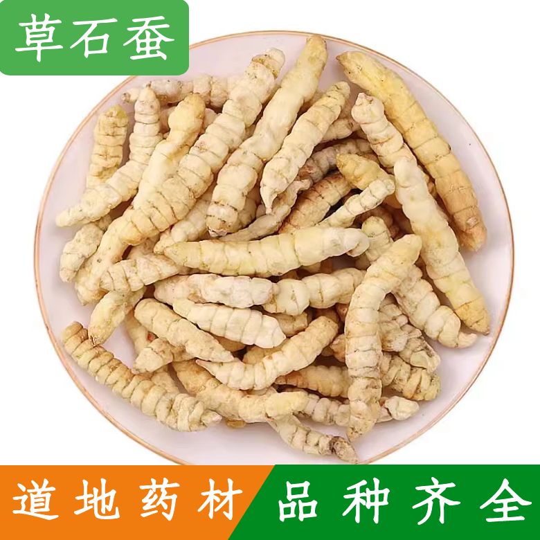 中药材草石蚕地蚕泽兰根