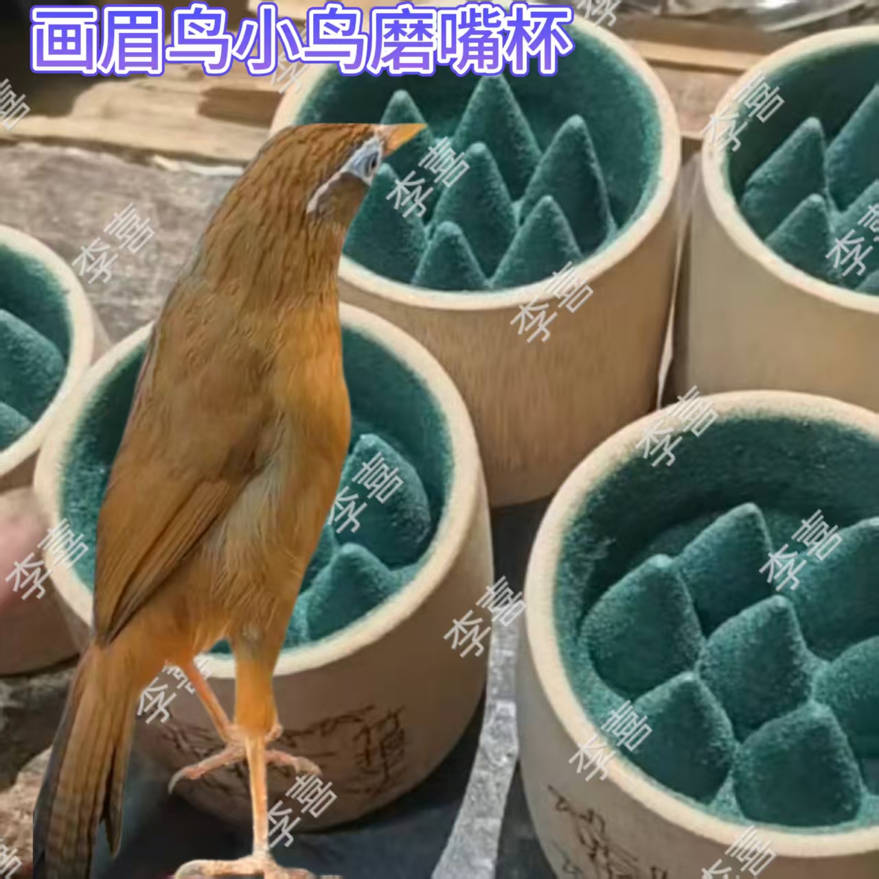 画眉鸟磨嘴器峰钩沙杯磨砂鸟笼配件塑料透明食罐鸟食杯食盒