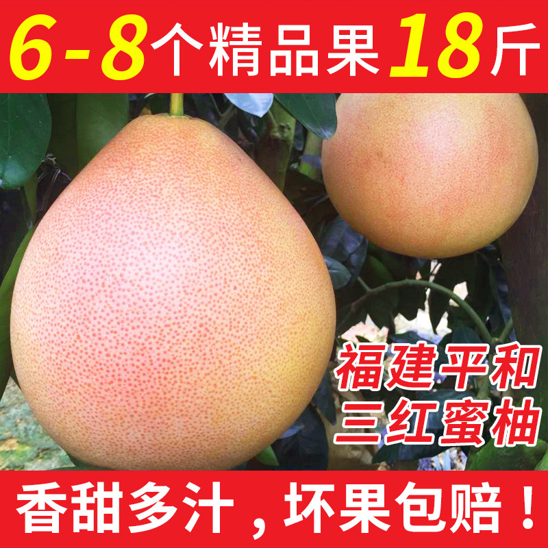 福建三红蜜柚正宗平和琯溪红肉红心柚子超甜官馆漳州当季新鲜水果