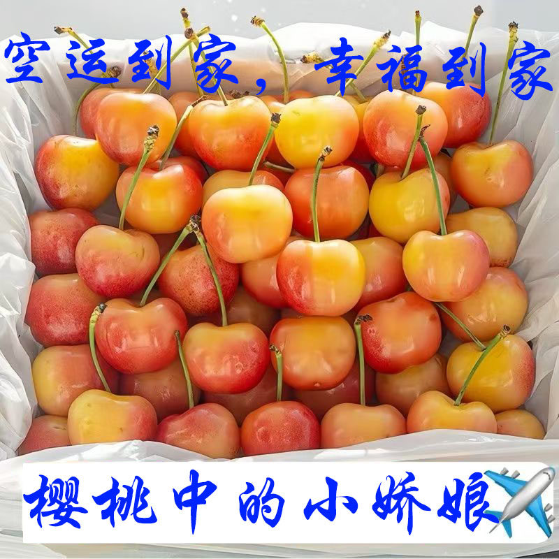 山东烟台大樱桃黄水晶黄蜜3斤黄金雷尼车厘子小樱桃新鲜水果国产