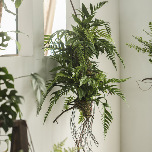 提根狼尾蕨仿真绿植吊饰装饰
