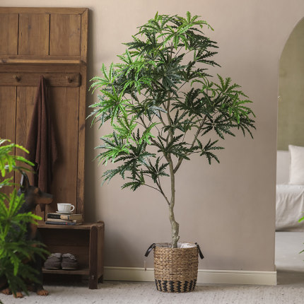 仿真绿植孔雀木大型植物造景装饰盆栽室内假树仿真树客厅落地摆件