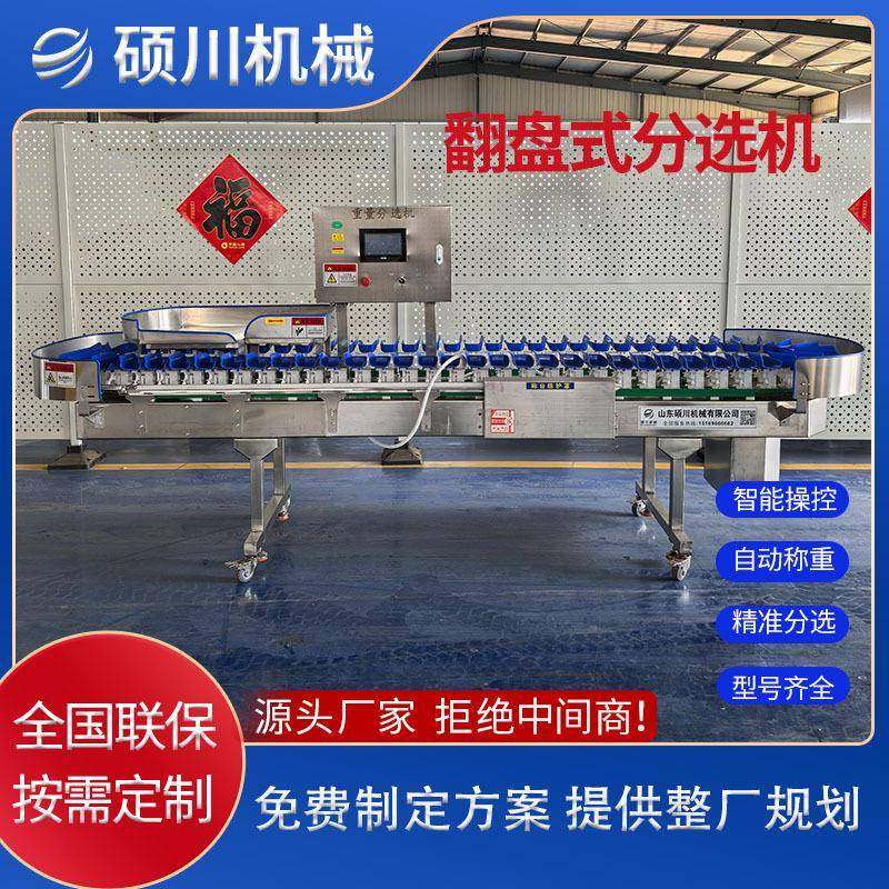 现货红薯玉米重量分选机龙虾海参重量分拣机人参水果称重分选机,清洗/食品/商业设备,其他食品加工设备,淘宝优惠券,粉丝福利购,淘宝优惠卷