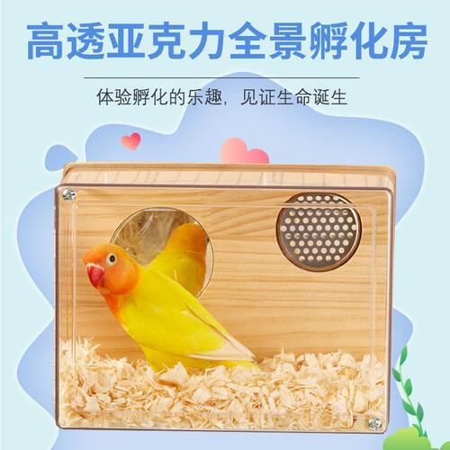 虎皮牡丹鹦鹉专用秋冬保暖大号竖式鸟笼繁殖孵化箱珍珠透明窝