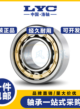 洛阳LYC轴承N/NU/NJ/NF/NUP202 203 204 205 206 207 208 209EM