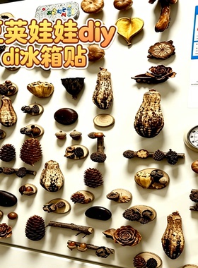 云南豆荚冰箱贴DIY果实磁铁贴片