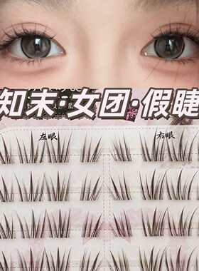 棕知末根根分明假睫毛~免