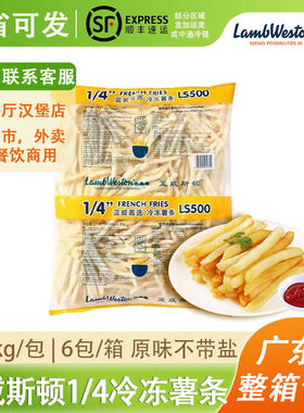 蓝威斯顿LS500细薯速冻薯条油炸冷冻西餐外卖土豆条美味小吃商用