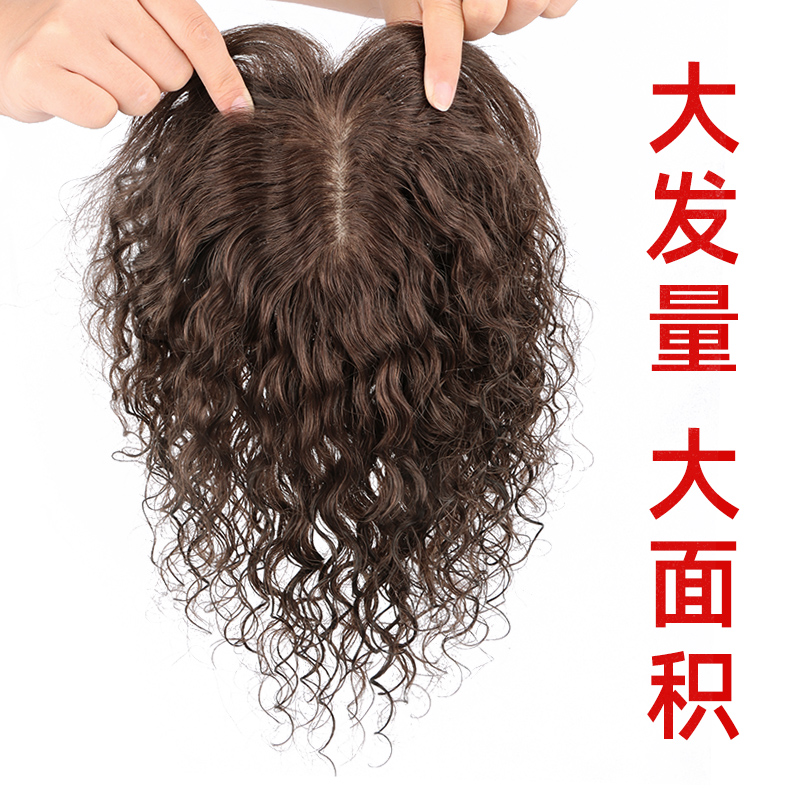 真人发丝蚕丝网卷发补发片