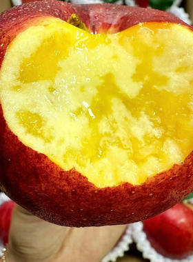 云南苹果昭通仿野生种植当季新鲜冰糖心丑苹果原产地现摘现发整箱