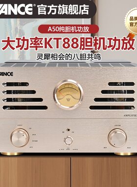 丹麦胆机功放AVANCE高保真