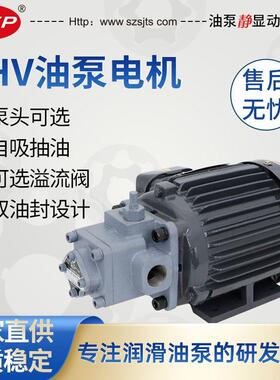 厂家直销 摆线泵 润滑油泵电机 TOP-2ML400-2HV20-VO马达油泵