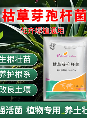 枯草芽孢杆菌绿植花防根腐病兰花月季花卉用微生物菌农用生根壮根