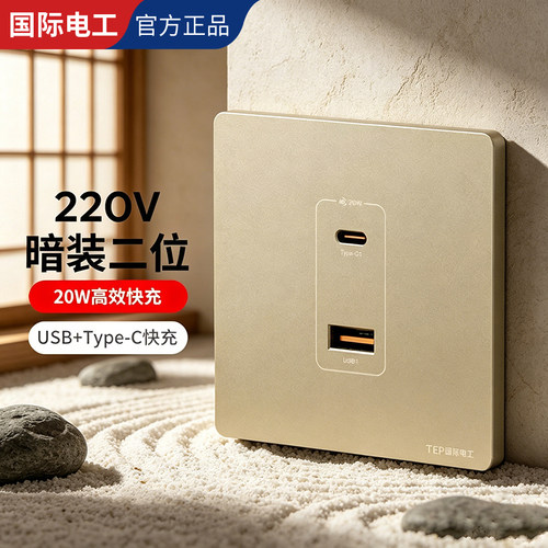 国际电工86型USB快充插座