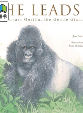 He Leads 他的带领 英文原版儿童绘本 故事绘本 June Smalls 6到9岁 大音