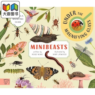 微型动物 放大镜下的观察 Minibeasts Under the Magnifying Glass 英文原版 儿童科普绘本读物 插图精美 进口书 大音