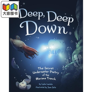 英文原版 深海 Deep 深深 儿童科普绘本 进口读物 Calle 精装 Juan 大音 Velez 海洋动物知识百科图画书 Down