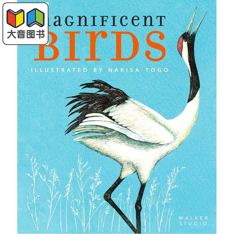 令人赞叹的鸟类英文原版