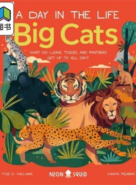 A Day in the Life Big Cats 一天的小生活大猫 英文原版儿童绘本 动物故事 Prabhat 大音