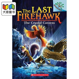 学乐大树系列 大音 Firehawk 桥梁章节书 儿童小初文学 火鹰传奇2英文原版 Caverns Crystal Last The