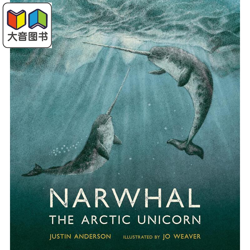 独角鲸北极独角兽Narwhal