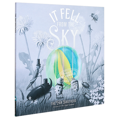 The Fan Brothers It Fell from the Sky 来自天空的你 英版平装 英文原版 精品绘本 儿童故事 Eric Fan 4-6岁 大音