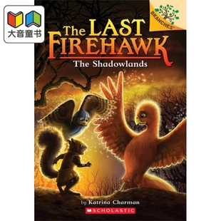 火鹰传奇5 大音 Firehawk 桥梁章节书 儿童小初文学 英文原版 学乐大树Branches Shadowlands Last The