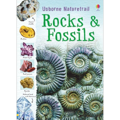 Rocks and Fossils 岩石和化石 英文原版 进口图书 儿童科普绘本 少儿知识百科图书 精品绘本儿童读物自然科学 大音