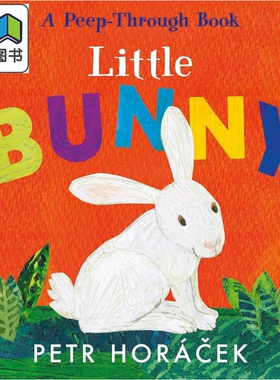 镂空书 小兔子 Petr Horácek Little Bunny 英文原版进口 低幼儿童纸板书 亲子绘本 故事图画书 进口童书2-5岁 大音