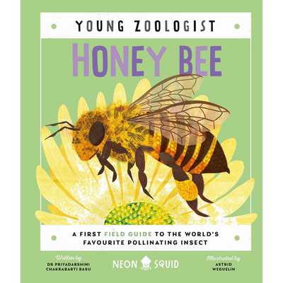 Young Zoologist：Honey Bee 小动物家：蜜蜂 英文原版进口 儿童百科绘本 动物科普知识图书 精装知识绘本童书 大音