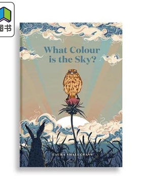 What Colour Is The Sky? 天空是什么颜色的？英文原版 进口原版 精装 5岁到8岁 儿童图画书 Laura Shallcrass 大音