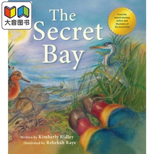 儿童绘本 大音 Bay 精品绘本童书 百科知识图书儿童读物 自然科学图画书 进口图书 英文原版 秘密海滩 Secret The