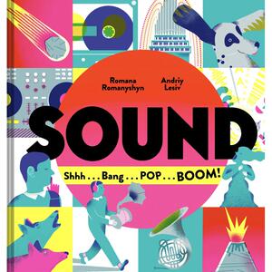 Sound: Shhh Bang POP BOOM 耳听八方 英文原版 8-12岁
