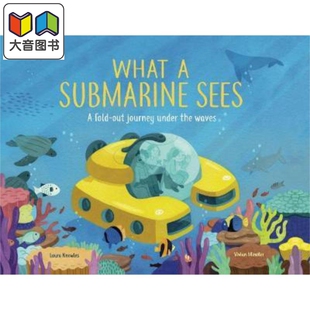 预售 Laura Knowles What a Submarine Sees 潜艇看到了什么 英文原版 大音