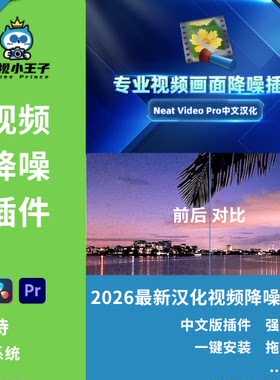 PR/AE/达芬奇 中文视频降噪插件 win系统一键安装版