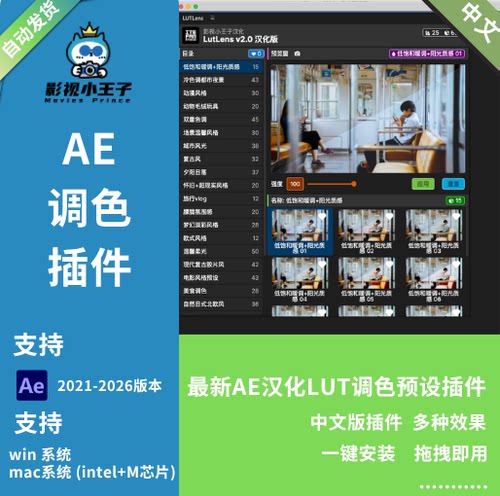 AE600多种婚礼广告色彩分级LUTs调色预设LutLens V2.0.0中文版