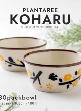 日本进口美浓烧饭碗新中式釉下彩飞鸟平底北欧风酸奶麦片米饭碗L