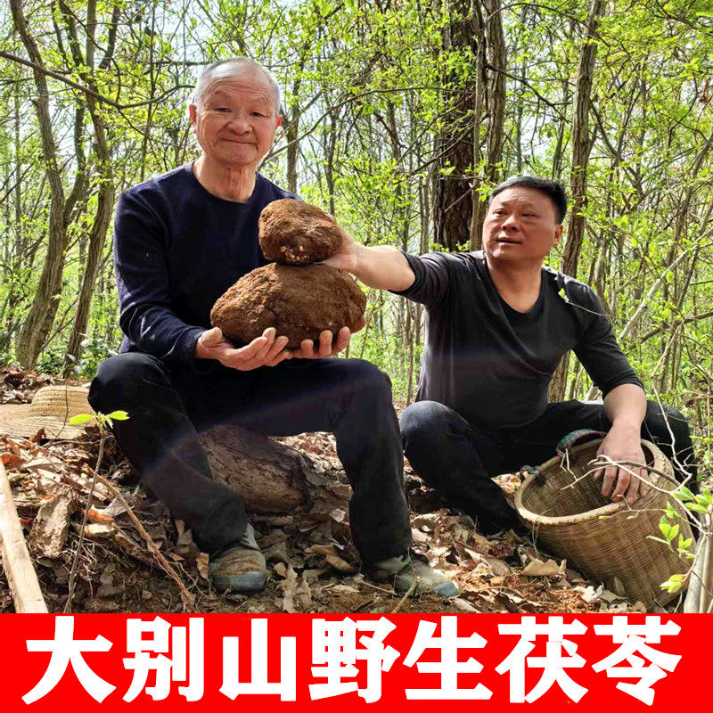 野生茯苓500克 天然无硫茯苓中药材正品中心丁 可打茯苓粉薏湿茶