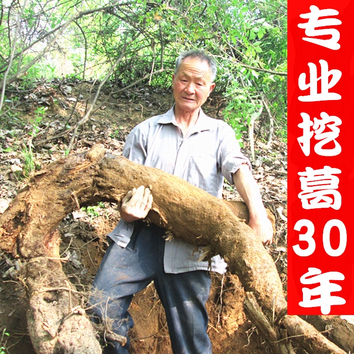 柴葛根 野生葛根片干500g 泡水纯天然葛根块葛根丁茶葛根茶葛根粉
